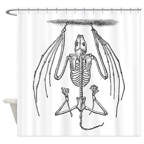 460x460 vintage bat skeleton bats skeletons shower curtains - Bat Skeleton Drawing