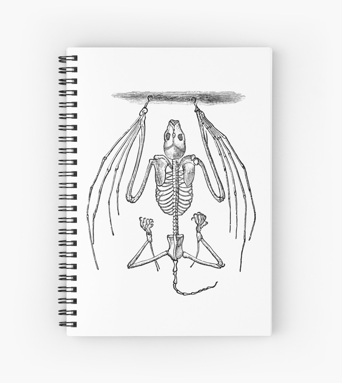 1171x1313 Vintage Bat Skeleton Illustration Retro Black And White - Bat Skeleton Drawing
