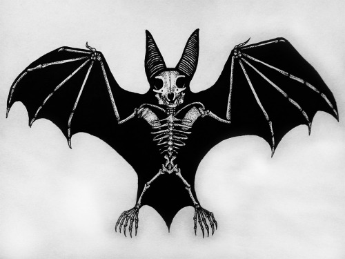 500x375 Art Mine Black And White Design Made - Bat Skeleton Drawing