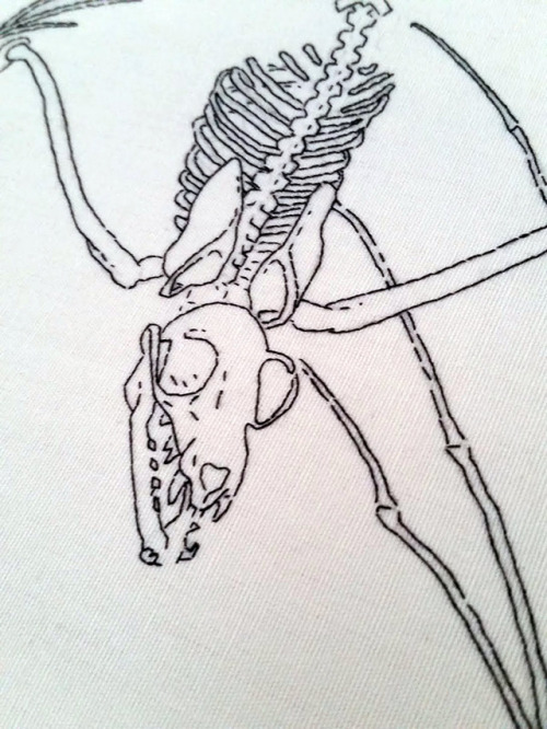 500x666 Bat Skeleton Tumblr - Bat Skeleton Drawing