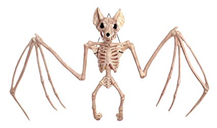 425x251 Crazy Bonez Bone Chilling Bat, Toys Games - Bat Skeleton Drawing