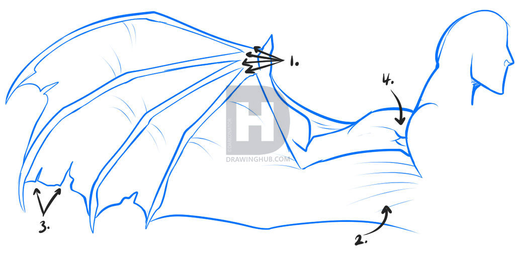 1034x509 How To Draw Anime Wings, Draw An Anime Angel, Step - Bat Wings Drawing