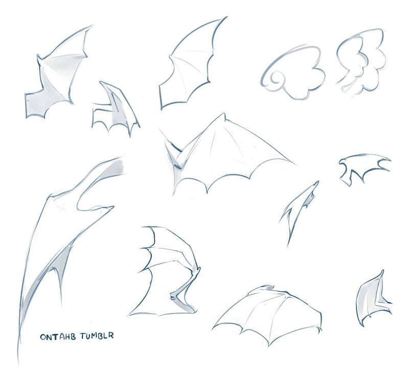 Bat Wings Drawing at PaintingValley.com | Explore collection of Bat ...