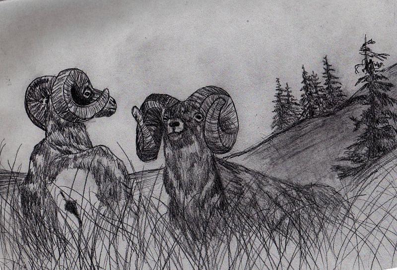 800x546 battle ground drawing - Battle Drawing