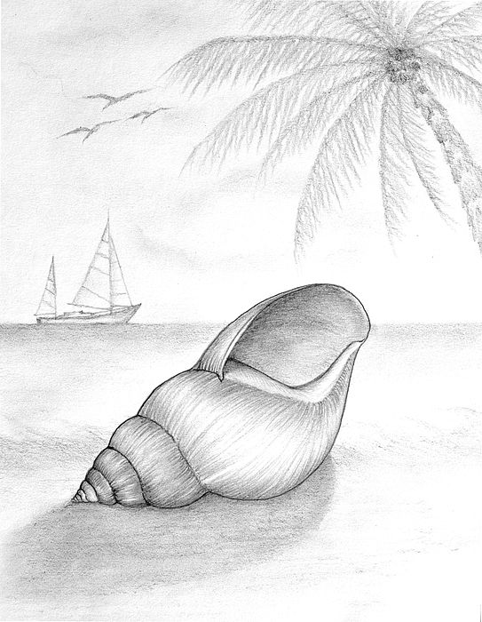 543x700 Drawing Drawing - Beach Drawing