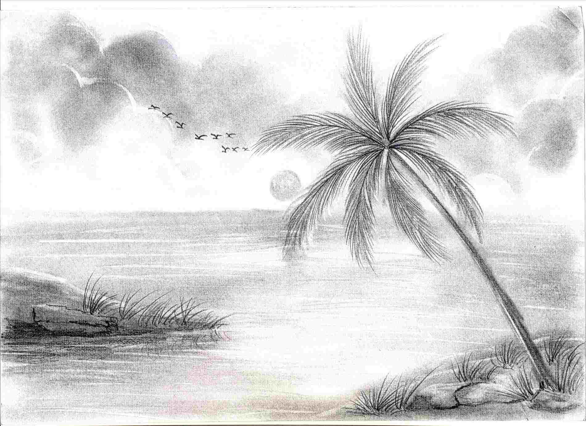 simple beach landscape drawing