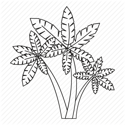 512x512 Beach, Line, Outline, Palm, Summer, Three, Trees Icon - Beach Line Drawing