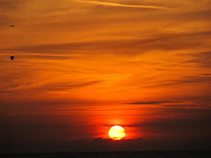 300x225 evening song drawing - Beach Sunset Drawing