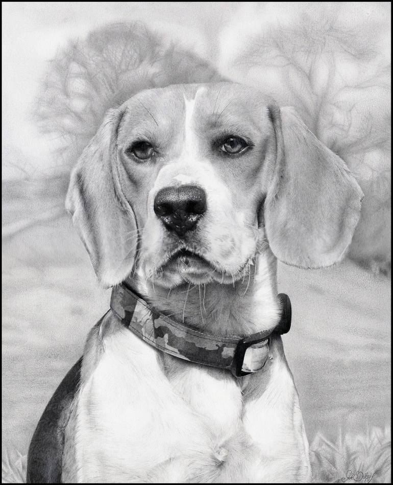 770x949 beagle drawing - Beagle Drawing