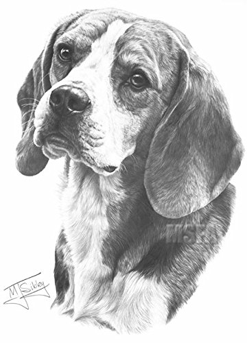 Beagle Drawing at PaintingValley.com | Explore collection of Beagle Drawing