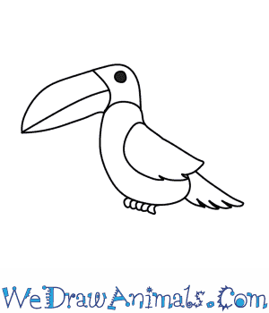 300x350 How To Draw A Toucan - Beak Drawing