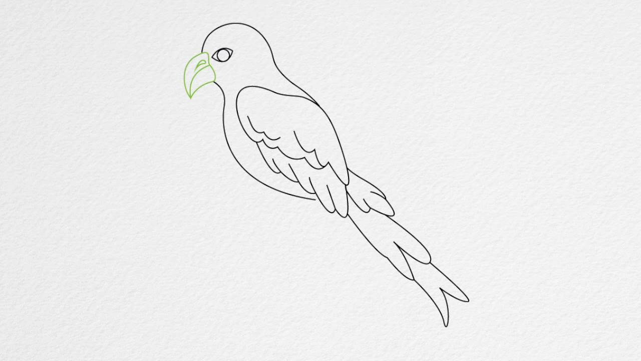 1280x720 How To Draw A Parrot Step - Beak Drawing