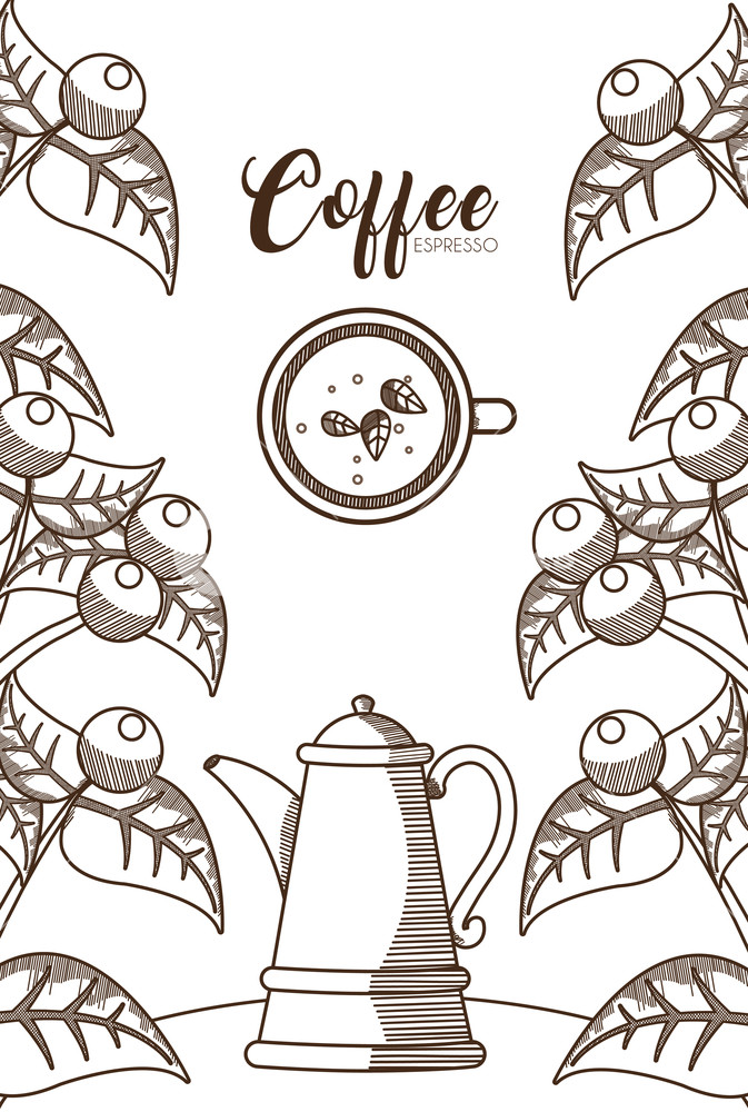 673x1000 coffee kettle with plant and beans hand drawing vector - Beans Drawing