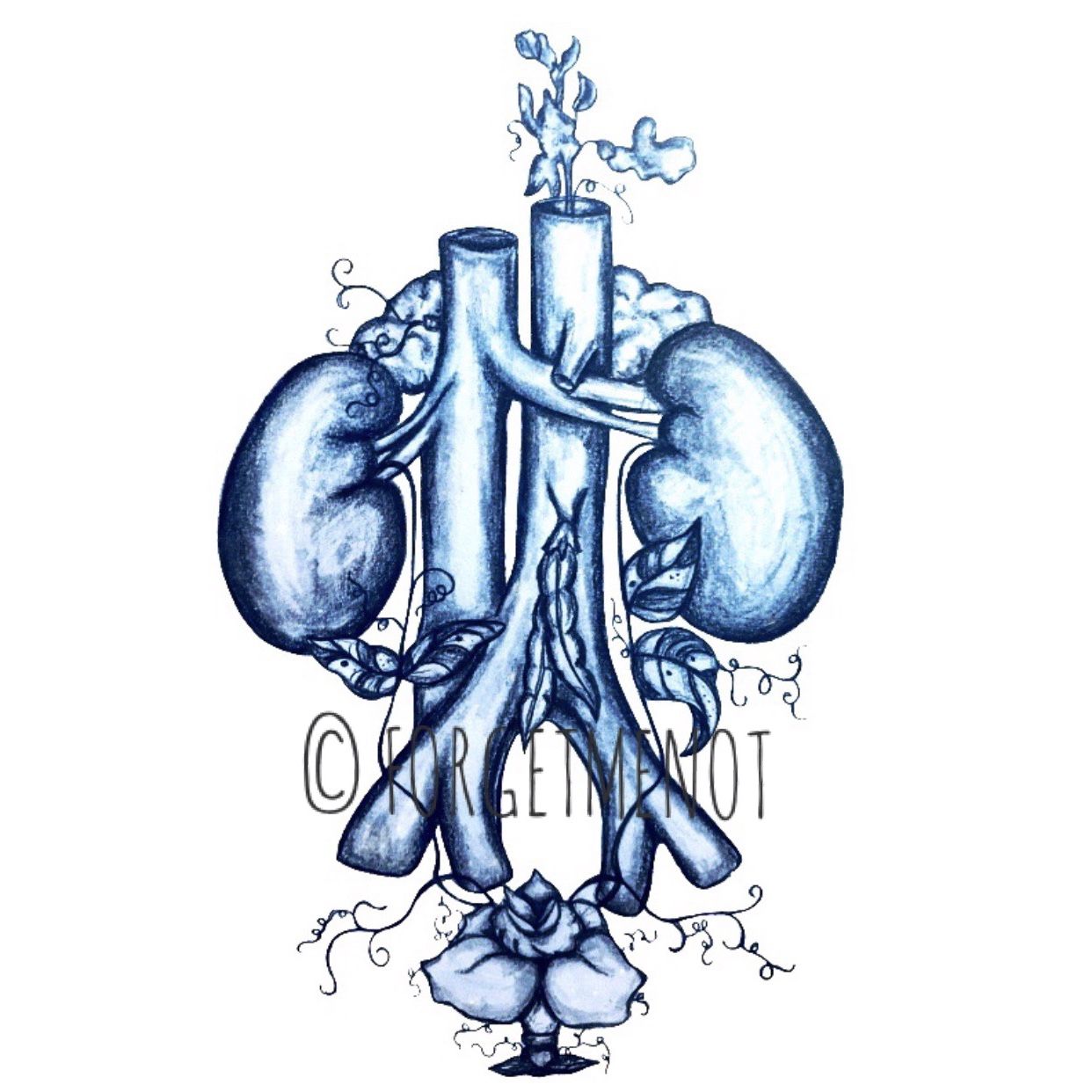 1242x1242 drawing art, anatomical art, anatomy art, flower art, kidney beans - Beans Drawing