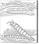 163x186 green beans and green peas drawing canvas print canvas art - Beans Drawing