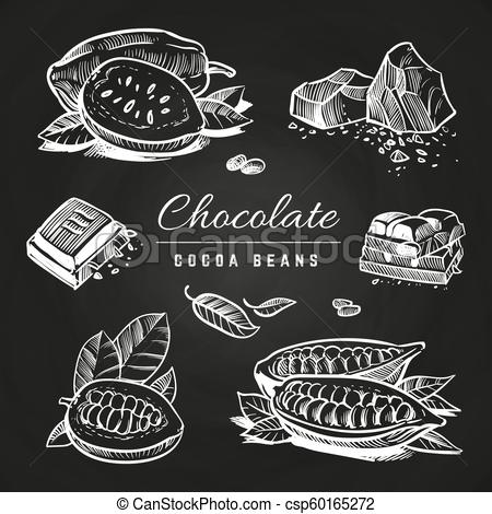 450x470 hand drawing chocolate and cocoa beans on blackboard hand drawing - Beans Drawing