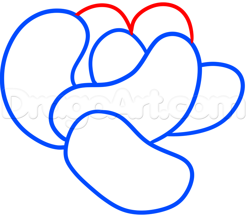 832x731 how to draw jelly beans, step - Beans Drawing