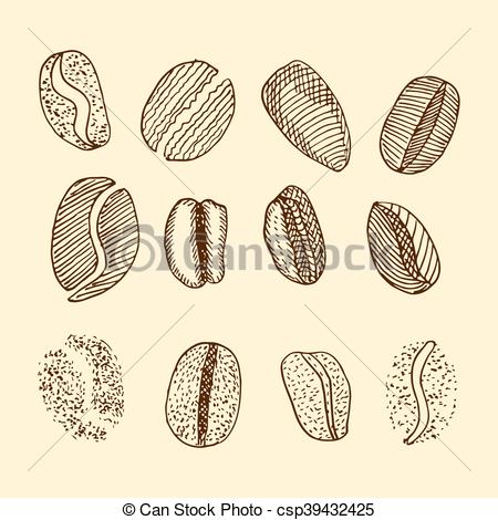 450x470 sketch of coffee beans vector drawing set - Beans Drawing