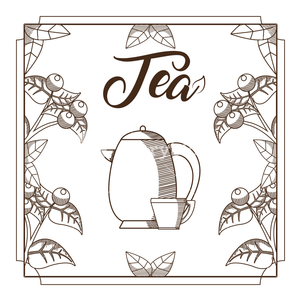 1000x1000 tea cup and kettle with plants and beans hand drawing vector - Beans Drawing