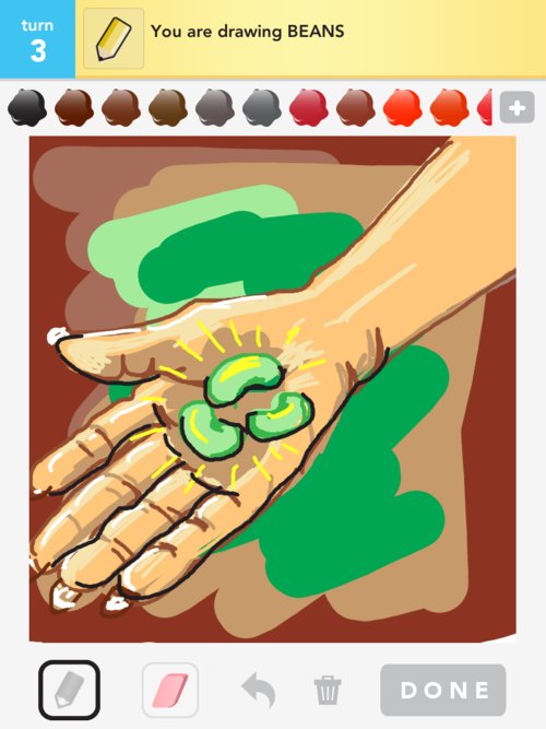 500x667 beans drawings - Beans Drawing