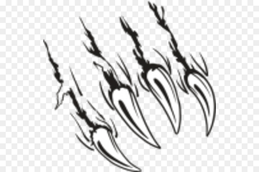 900x600 scratch drawing bear claw for free download - Bear Claw Drawing