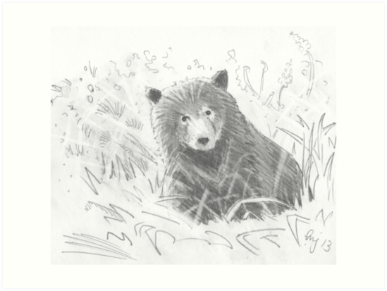 549x413 Grizzly Bear Cub Drawing Art Prints - Bear Cub Drawing