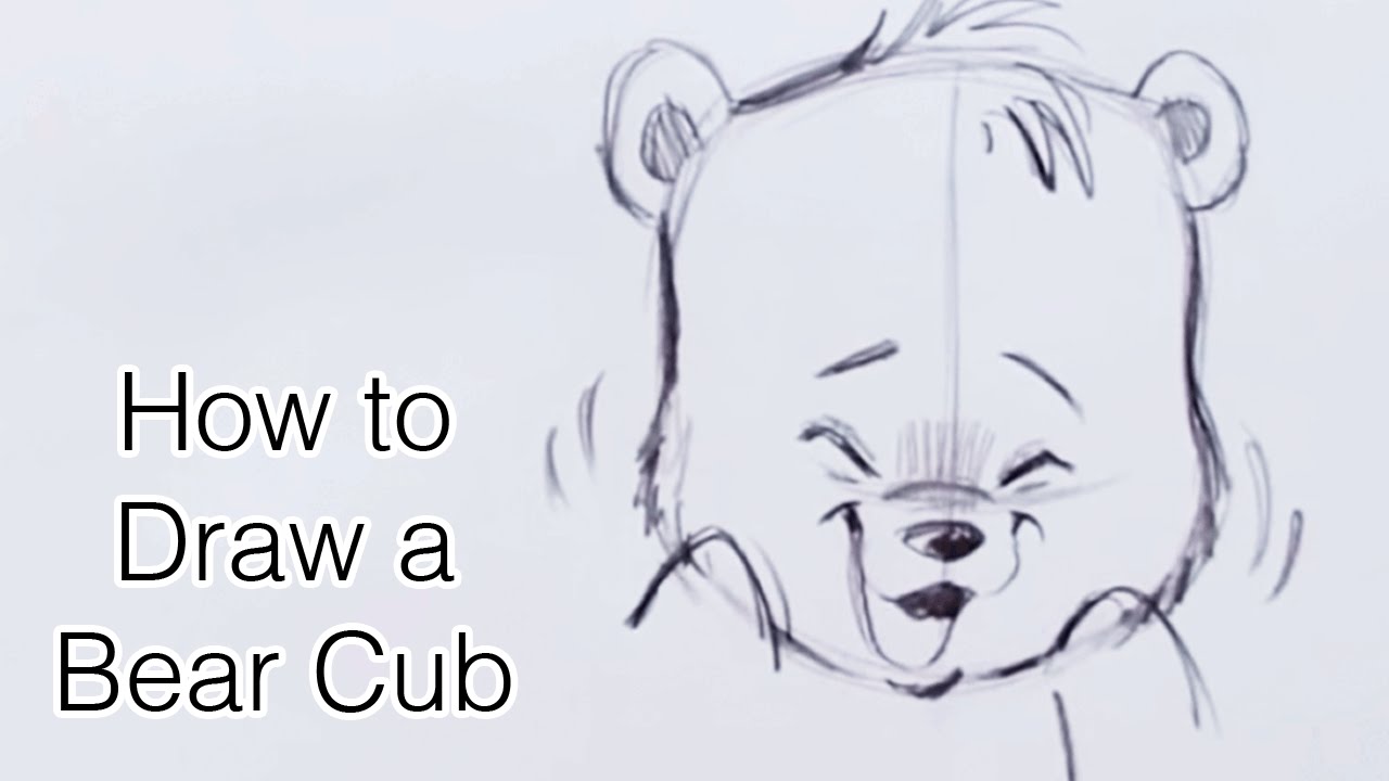 1280x720 How To Draw A Bear Cub - Bear Cub Drawing