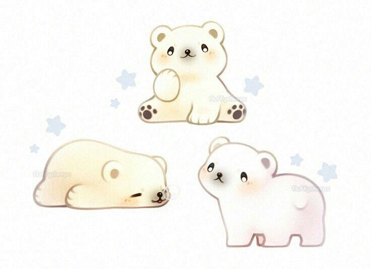 736x534 Cute Polar Bears, Drawing Kawaii Drawings - Bear Cute Drawing
