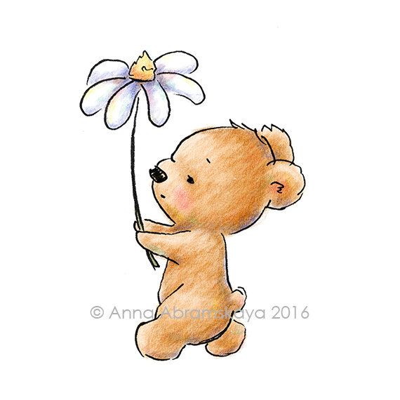 570x570 The Drawing Of Cute Teddy Bear Walking With A Huge Daisy Nursery - Bear Cute Drawing