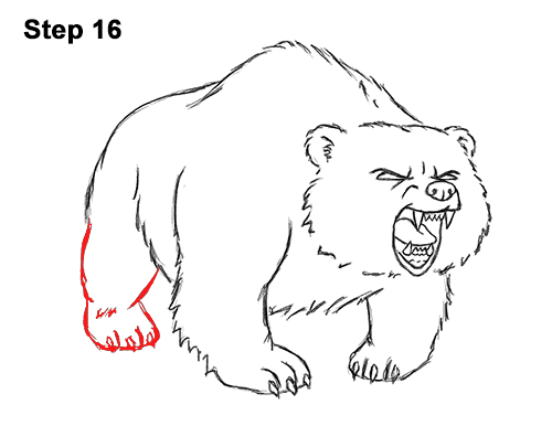 500x386 How To Draw A Bear Roaring - Bear Drawing