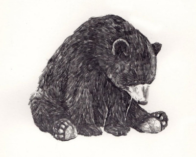 400x319 Bear Drawing Tumblr - Bear Drawing