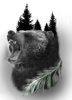 236x329 Bear Sketches Realistic Bear Drawing - Bear Drawing