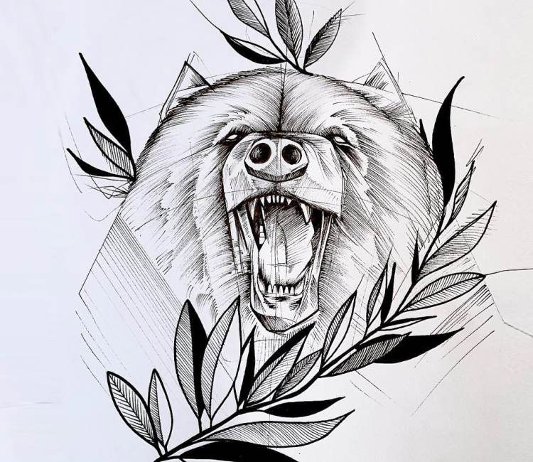 750x650 Bear Drawing - Bear Drawing