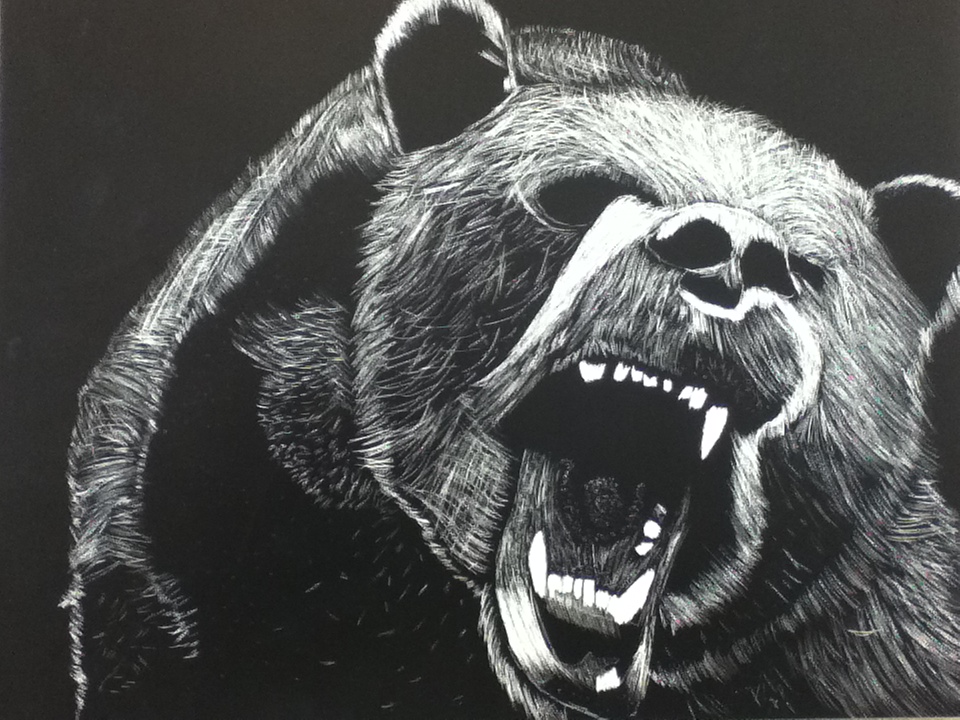 960x720 i did a sketch art drawing of that bear once - Bear Drawing Art