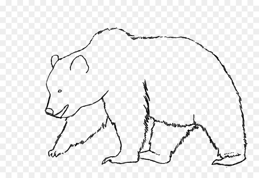 900x620 Polar Bear Drawing Sketch Line Art - Bear Drawing Art