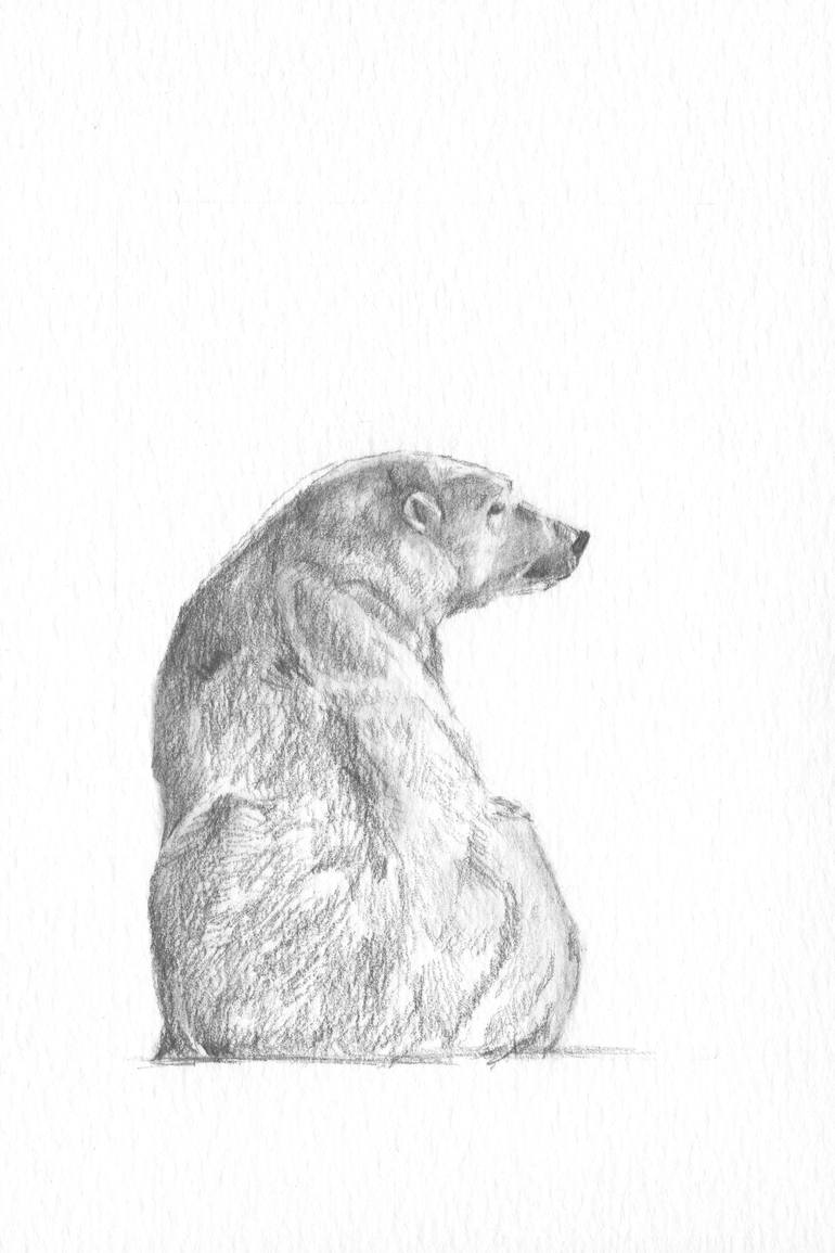 770x1155 Polar Bear Drawing - Bear Drawing Art