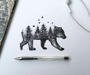 300x250 Bear Forest Drawing Shared - Bear Drawing Art
