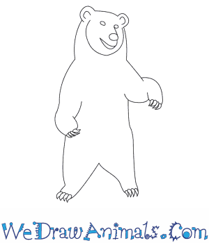 300x350 How To Draw A Grizzly Bear - Bear Drawing Easy