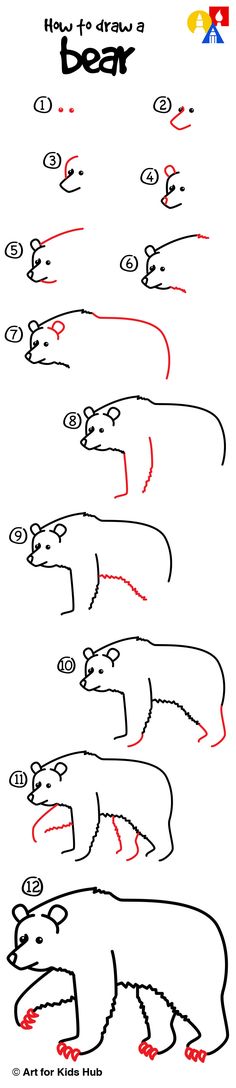236x1088 Best How To Draw Bears Images Grizzly Bear Animal, Wild - Bear Drawing Easy