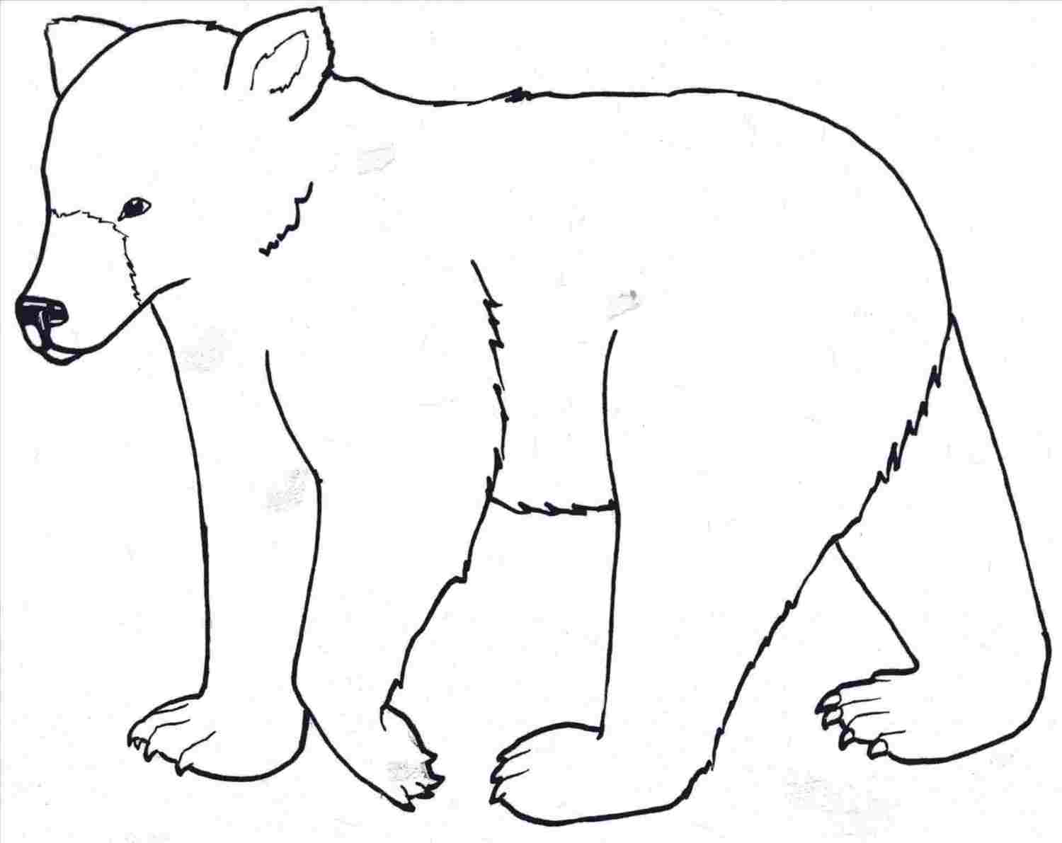 1500x1191 Easy Grizzly Bear Drawings - Bear Drawing Easy