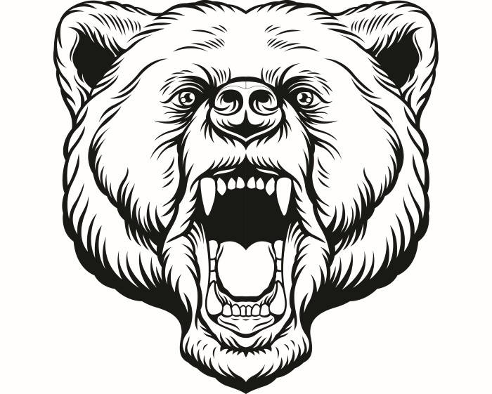 700x561 Drawn Grizzly Bear Face Logo - Bear Drawing Face
