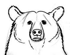 235x185 best bear face beardies images bear, bear face, bears - Bear Drawing Face