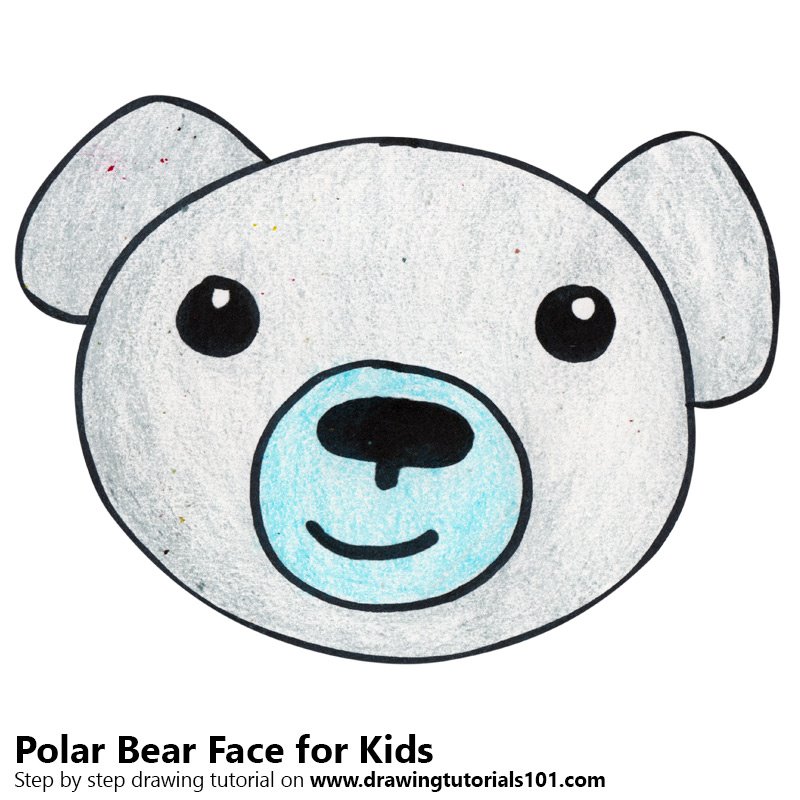 800x800 Learn How To Draw A Polar Bear Face For Kids - Bear Drawing Face