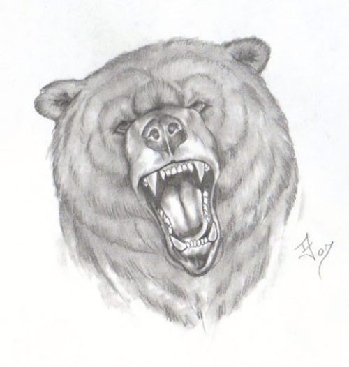 500x526 Roaring Bear Face Tattoo Drawing - Bear Drawing Face