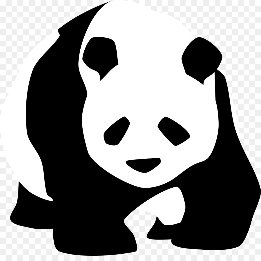 900x900 Bear, Drawing, Face, Transparent Png Image Clipart Free Download - Bear Drawing Face