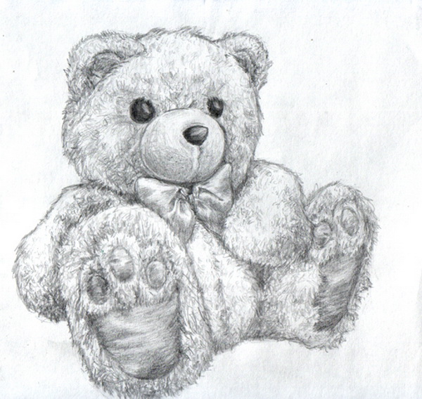 Bear Drawing Images