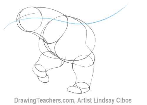 500x357 Cartoon Polar Bear - Bear Drawing Images