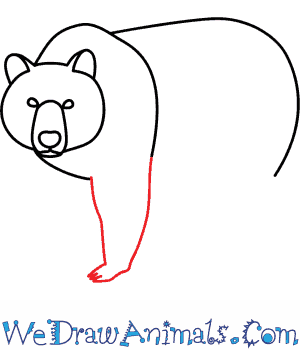 300x350 How To Draw A Brown Bear - Bear Drawing Images