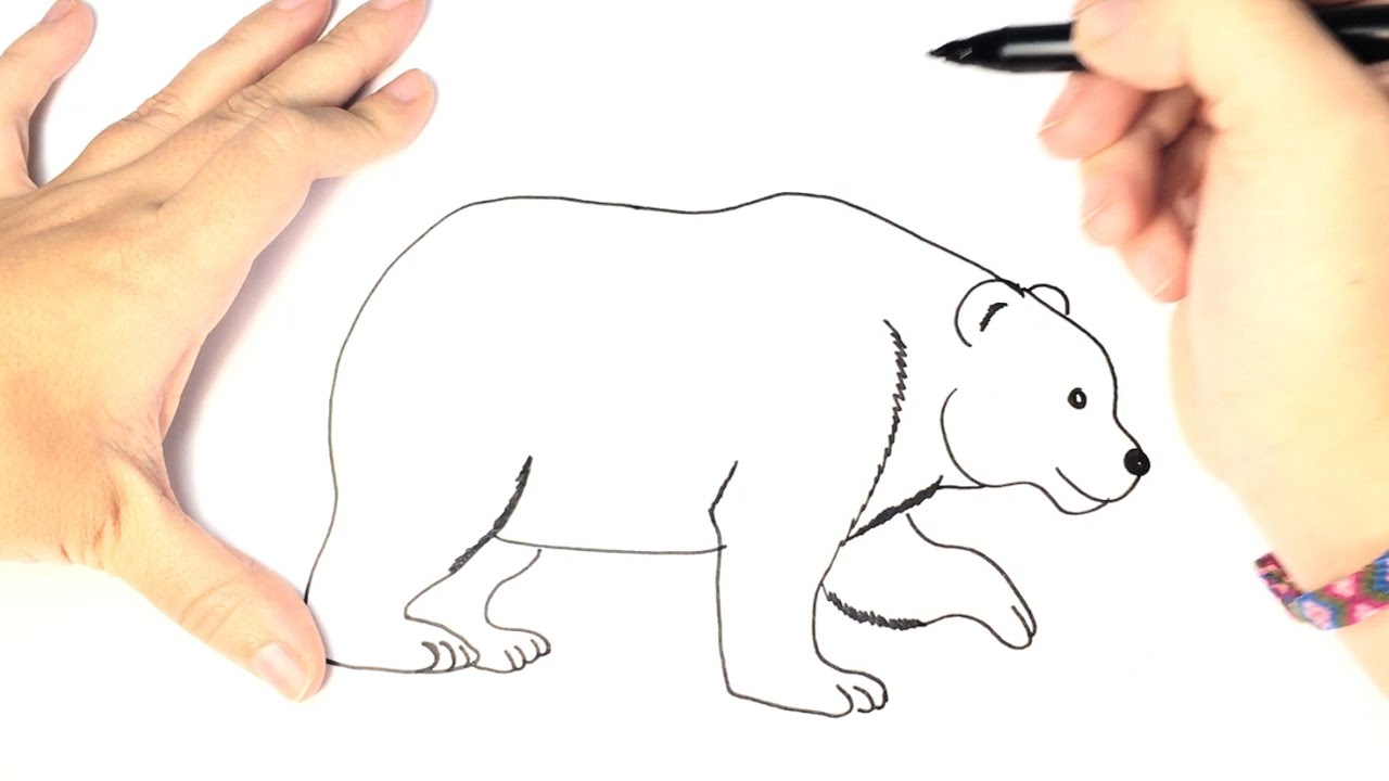 1280x720 How To Draw A Polar Bear For Kids - Bear Drawing Images