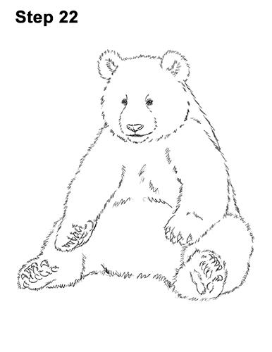 386x500 Draw So Cute Bear - Bear Drawing Images